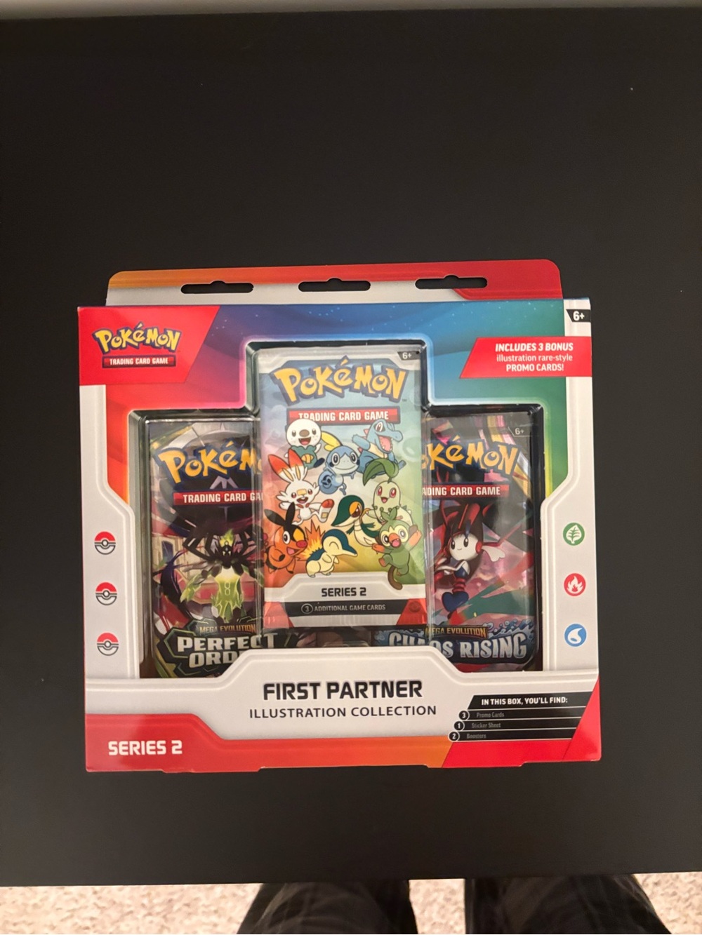 First partner pokemon